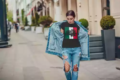 vectores plantilas SEPTIEMBRE,FIESTAS PATRIAS,